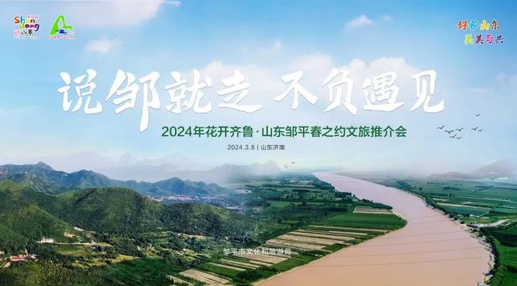 一站式直播服务,照片直播平台,映目直播报价